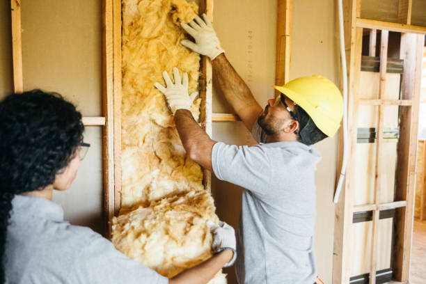 Best Commercial Insulation Services  in Warrenvle, IL